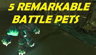 Image result for wow mega bite pet battle