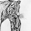 Image result for Draw Cool Animals