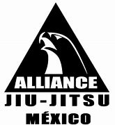 Image result for Alliance Jiu Jitsu