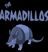 Image result for The Armadillos Band Oakville Ontario