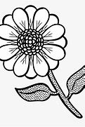 Image result for Black and White Pic to Colour