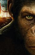 Image result for Rise of the Planet of the Apes Gorilla