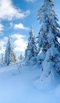 Image result for Snow iPhone Background