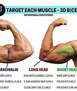 Image result for Increase Bicep Size