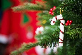 Image result for Christmas Miracle Christian Symbols