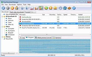 Image result for Download Manager Small
