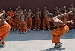 Image result for Shaolin Temple Martial Arts