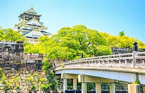 Image result for Osaka Castle History