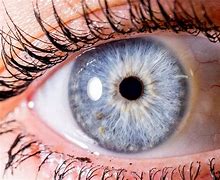 Image result for Blue Shine Eye