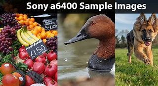 Image result for Sony Alpha A6400 Sample Images