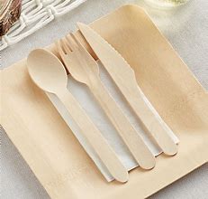 Image result for Compostable Cutlery