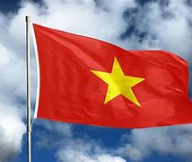 Image result for vietnamese flags mean