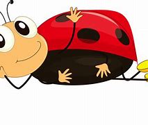 Image result for Cricket Ladybug Bumblebee Cartoon