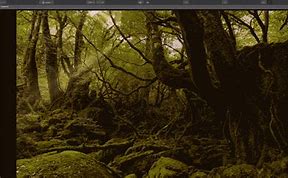 Image result for HDR iPhone XS