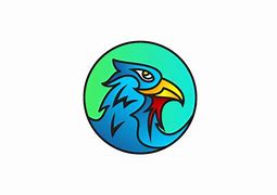 Image result for Hawk Falcon Logo