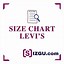 Image result for Silver Jeans Plus Size Chart
