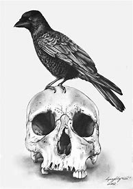 Image result for Pintrest Gothic Drawings