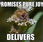 Image result for Silly Promises