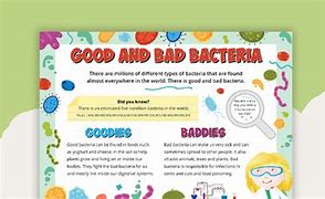Image result for How Are Bacteria Harmful and Helpful