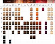 Image result for Schwarzkopf Royal Hair Color Chart