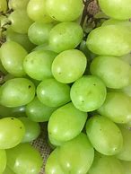Image result for Fresh Green Grapes