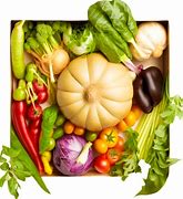 Image result for Fruit and Vegetable Diet Plan