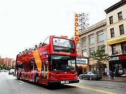 Image result for new york buses tour coupon