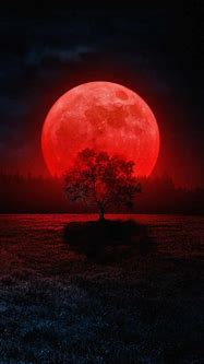 Image result for Red Moon Phone Wallpaper