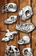 Image result for Realistic Skull Sticker