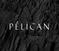 Image result for Pelican 1610