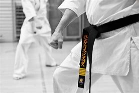 Image result for Kyokushin Karate Designs