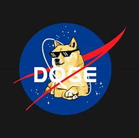 Image result for Space Doge T-shirt