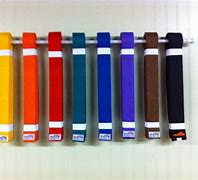 Image result for Shotokan Karate Belts