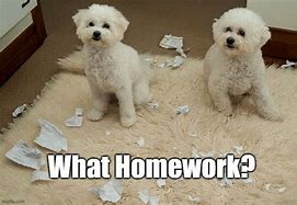 Image result for Dog Eating Homework Meme