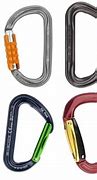 Image result for Carabiner Shapes