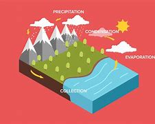 Image result for Annotated Diagram of the Water Cycle