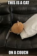 Image result for Cat Little Kids Couch Meme