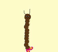 Image result for Centipede with Flip Flops Meme