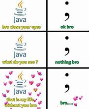 Image result for Programming Language Jokes