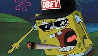 Image result for Spongebob Roast Meme