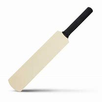 Image result for Cricket Bat Mini BBL