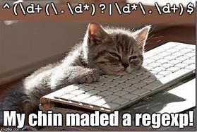 Image result for Regex Funny Quotes