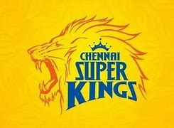 Image result for Chennai Super Kings Owner