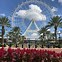 Image result for Things to Do Near Orlando