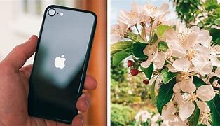 Image result for iPhone SE Quality 2020