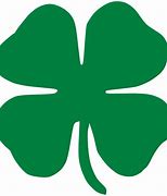 Image result for 4 H Four Leaf Clover