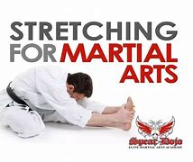 Image result for Martial Arts Stretching School