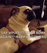 Image result for Stupid Happy Birthday Brother