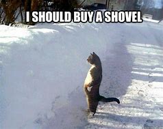 Image result for Girl Shoveling Snow Meme