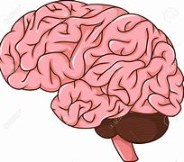 Image result for Expand Brain